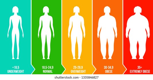 Creative Vector Illustration Bmi Body Mass Stock Vector (Royalty Free ...