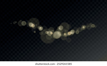 Ilustración vectorial creativa de fuentes de luz brillante aisladas sobre fondo transparente Horizontal. Explosión de explosión brillante de oro. Efecto de luz con partículas de brillo. Efecto bokeh de desenfoque de brillo Abstractas.