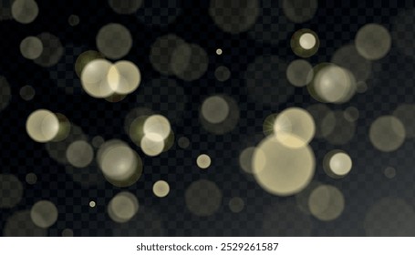 Ilustración vectorial creativa de fuentes de luz brillante aisladas sobre fondo transparente Horizontal. Explosión de explosión brillante de oro. Efecto de luz con partículas de brillo. Efecto bokeh de desenfoque de brillo Abstractas.