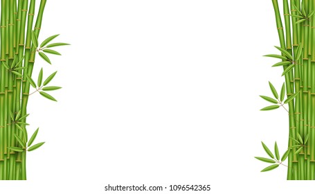 Creative vector illustration of chinese bamboo grass tree. Tropical asian plant art design. Abstract concept graphic banner, brochure, cover, booklet, print, flyer, book, blank, a4 element.
