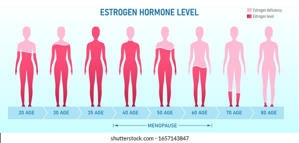 Creative vector illustration of estrogen hormone level, menopause chart infographic background. Female sex hormone template. Abstract concept estrogen level, representative testosterone charts