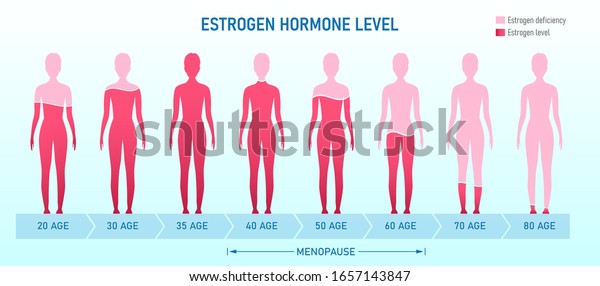 Creative vector illustration of estrogen hormone\
level, menopause chart infographic background. Female sex hormone\
template. Abstract concept estrogen level, representative\
testosterone charts