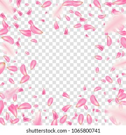 Creative vector illustration of flowers petals falling on vector transparent background. Pink, red rose or sakura flying backdrop for, mother, women day. Art design. Abstract concept graphic element.