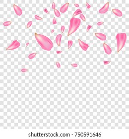 Creative vector illustration of flowers petals falling on transparent background. Pink, red rose or sakura flying backdrop for, mother, women day. Art design. Abstract concept graphic element