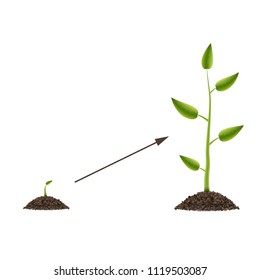 Creative vector illustration of growth up green tree with leaf isolated on background. Business cycle diagram development. Art design seedling gardening plant life. Abstract concept graphic element