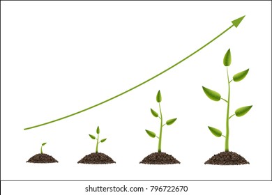Creative vector illustration of growth up green tree with leaf isolated on background. Business cycle diagram development. Art design seedling gardening plant life. Abstract concept graphic element.