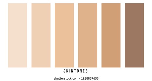 Ilustración vectorial creativa de la paleta de color de tono de piel humana aislada en fondo transparente. Diseño artístico. Resumen de la cara de la persona de concepto, de la complejidad corporal elemento gráfico para cosméticos