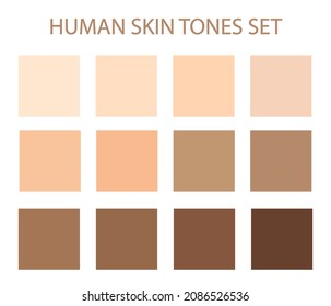 Creative vector illustration of human skin tone color palette set isolated on transparent background. Vector illustration EPS10