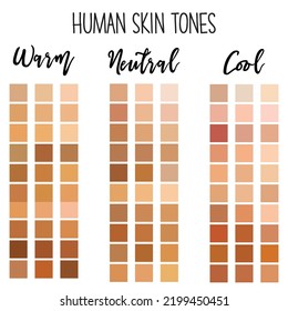 Creative vector illustration of human skin tone color palette set isolated on transparent background. Art design. Abstract concept person face, body complexion graphic element for cosmetics