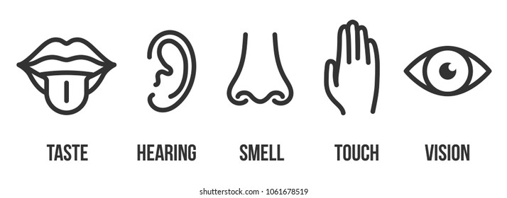 Creative vector illustration line icon set of five human senses. Vision, hearing, smell, touch, taste isolated on transparent background. Art design nose, eye, hand, ear, mouth with tongue element
