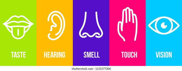 Creative vector illustration line icon set of five human senses. Vision, hearing, smell, touch, taste isolated on transparent background. Art design nose, eye, hand, ear, mouth with tongue element