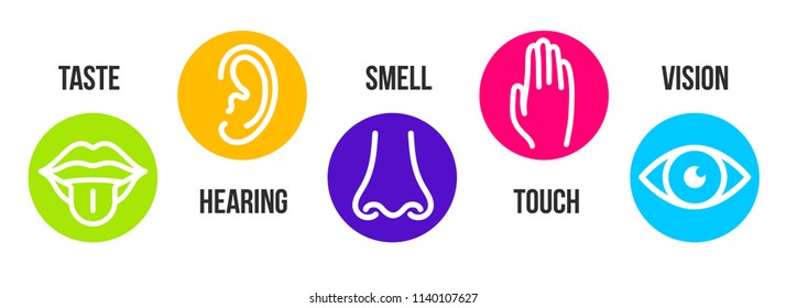 Creative vector illustration line icon set of five human senses. Vision, hearing, smell, touch, taste isolated on transparent background. Art design nose, eye, hand, ear, mouth with tongue element