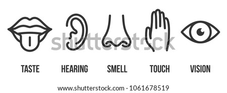 Creative vector illustration line icon set of five human senses. Vision, hearing, smell, touch, taste isolated on transparent background. Art design nose, eye, hand, ear, mouth with tongue element