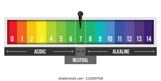Creative vector illustration of pH scale value isolated on background. Chemical art design infographic. Abstract concept graphic litmus paper element