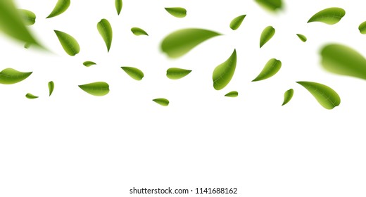 Creative vector illustration of realistic blurred fresh vividly flying green leaves isolated on transparent background. Art design green tea. Abstract concept graphic organic natural eco element