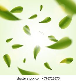 Creative vector illustration of realistic blurred fresh vividly flying green leaves isolated on transparent background. Art design green tea. Abstract concept graphic organic natural eco element.