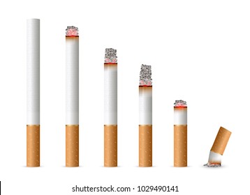 Creative vector illustration of realistic cigarette set isolated on transparent background. Art design different stages of burn. Abstract concept graphic element