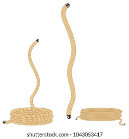 Creative vector illustration of a realistic sea twisted rope, for decoration and cover, isolated on white background.