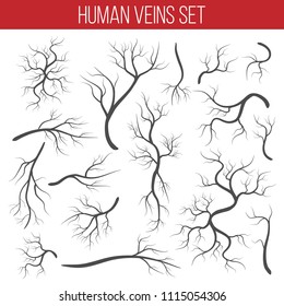Creative vector illustration of red veins isolated on background. Human vessel, health arteries, Art design. Abstract concept graphic element capillaries. Blood system