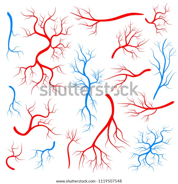 背景に赤い静脈のクリエイティブベクターイラスト 人間の血管 健康動脈 アートデザイン 抽象的コンセプトのグラフィックエレメントの毛細血管 血液系 のベクター画像素材 ロイヤリティフリー