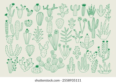 A creative vector line art of cacti illustrations. Vector hand drawn line art 