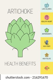 Creative vector modern vegetable nutrition infographic design featuring artichoke | Trendy dietary infographic template on artichoke health benefits such as low calories, heart health, antioxidants