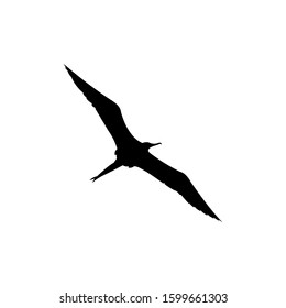 Creative vector silhouette bird icon