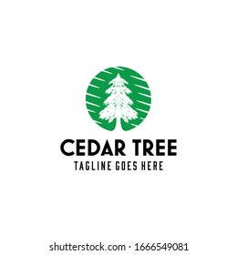 Creative Vintage Pine Cedar tree sign logo design template emblem