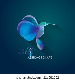 creative vivid bright abstract colibri hummingbird vector illustration- logo element isolated on dark nocturnal background