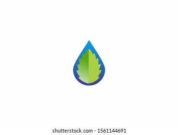 creative water drops and leaves symbol logo design