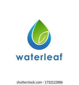 creative water and leaf logo design with green and aquas color concept illustration 
