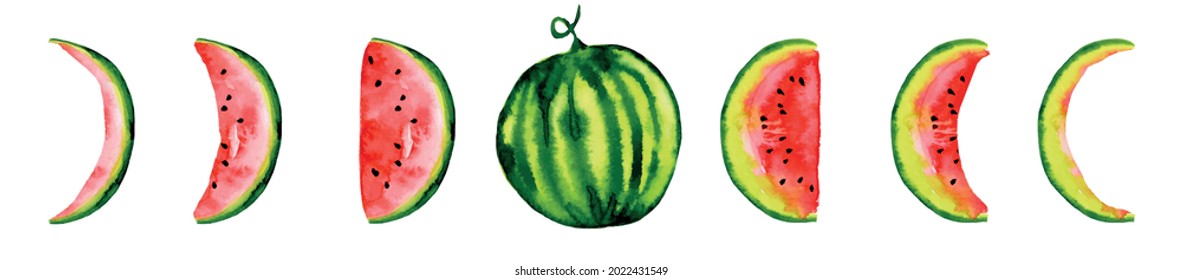 Creative watercolor illustrations with watermelon and watermelon wedges in the shape of the phases of the moon. Vector on isolated white background. For printing, design of notebooks, calendars.