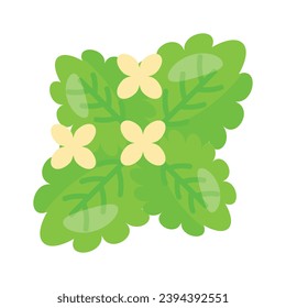 Kreativ bearbeitete Vektorgrafik von Melissa, gesunden Lebensmitteln, pflanzlichen oder grünen Teezutaten