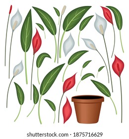 creator houseplant spathiphyllum red, color isolated vector illustration, puzzle, application, clipart, design, decoration, designer