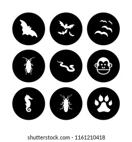 creature icon. 9 creature set with snake, wolf, monkey and cockroach vector icons for web and mobile app