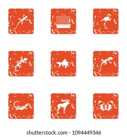 Creature icons set. Grunge set of 9 creature vector icons for web isolated on white background