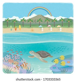 沖縄 サンゴ のイラスト素材 画像 ベクター画像 Shutterstock