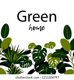 Creen home banner. Home plants design