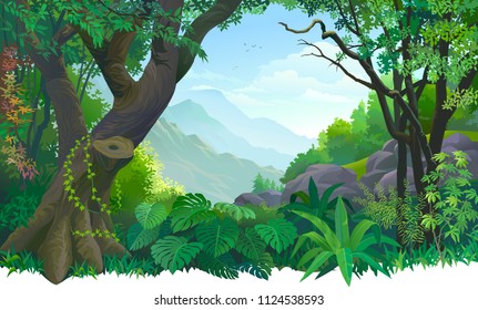 Creeper climbing on a tree trunk with boulders and mountains