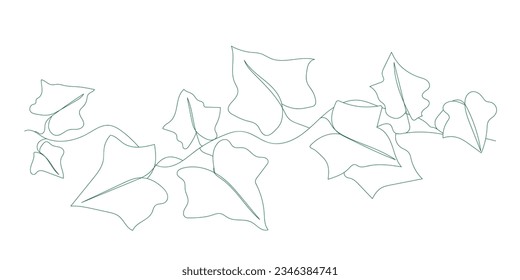 Creeper continuous line freehand drawing. Vector illustration.