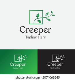 Creeper Logo Design Template. Twisted jungle vines liana plant Cowslip creeper vine with heart-shaped green leaves.