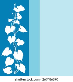 Creeper plant