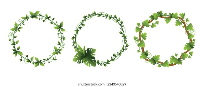 Creepers circle frame climbing greenery plant decor element set vector flat illustration. Round border foliage ornament ivy tropical natural decoration floral tree branch wild garden boundary