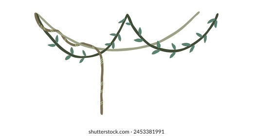 Creepers drawn by hand. Jungle, wild forest. Flat vector illustration.