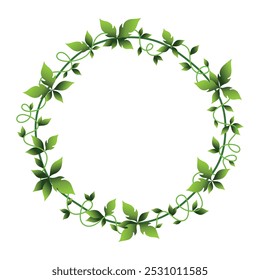 Creepers green ivy circle frame lush foliage greenery ornament vector flat illustration. Round twig chaplet border creeping liana decoration design floral natural plant tree branch boundary