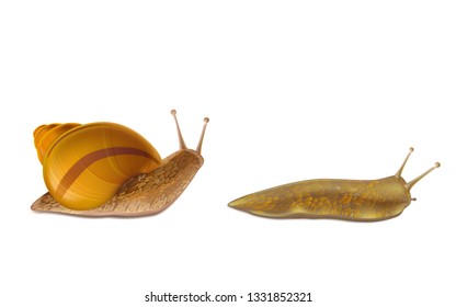 Creeping Burgundy or Roman snail and red slug 3d realistic vector icons isolated white background. French cuisine delicatessen, edible and farming European specie snail, garden pests illustrations