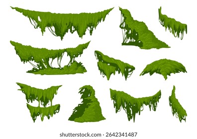 Creeping lichen. Hanging jungle moss, swamp green moss plants flat vector illustration set. Cartoon rainy forest flora on white