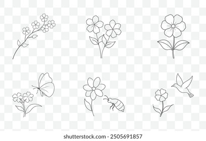 Kriechende Phlox Flower Line Art Vektor Set mit detaillierten und eleganten Blumenillustrationen