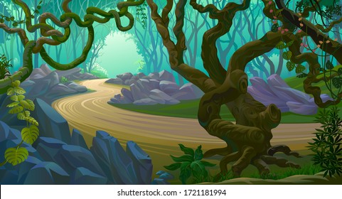 Creepy branches tangled across the forest. A road through the jungle.