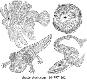 Creepy fish with for anti stress coloring page, illustration of a bathysaurus in tracery style isolated on white backround. Black and white ugly fish for coloring book for grown-ups. Vector.